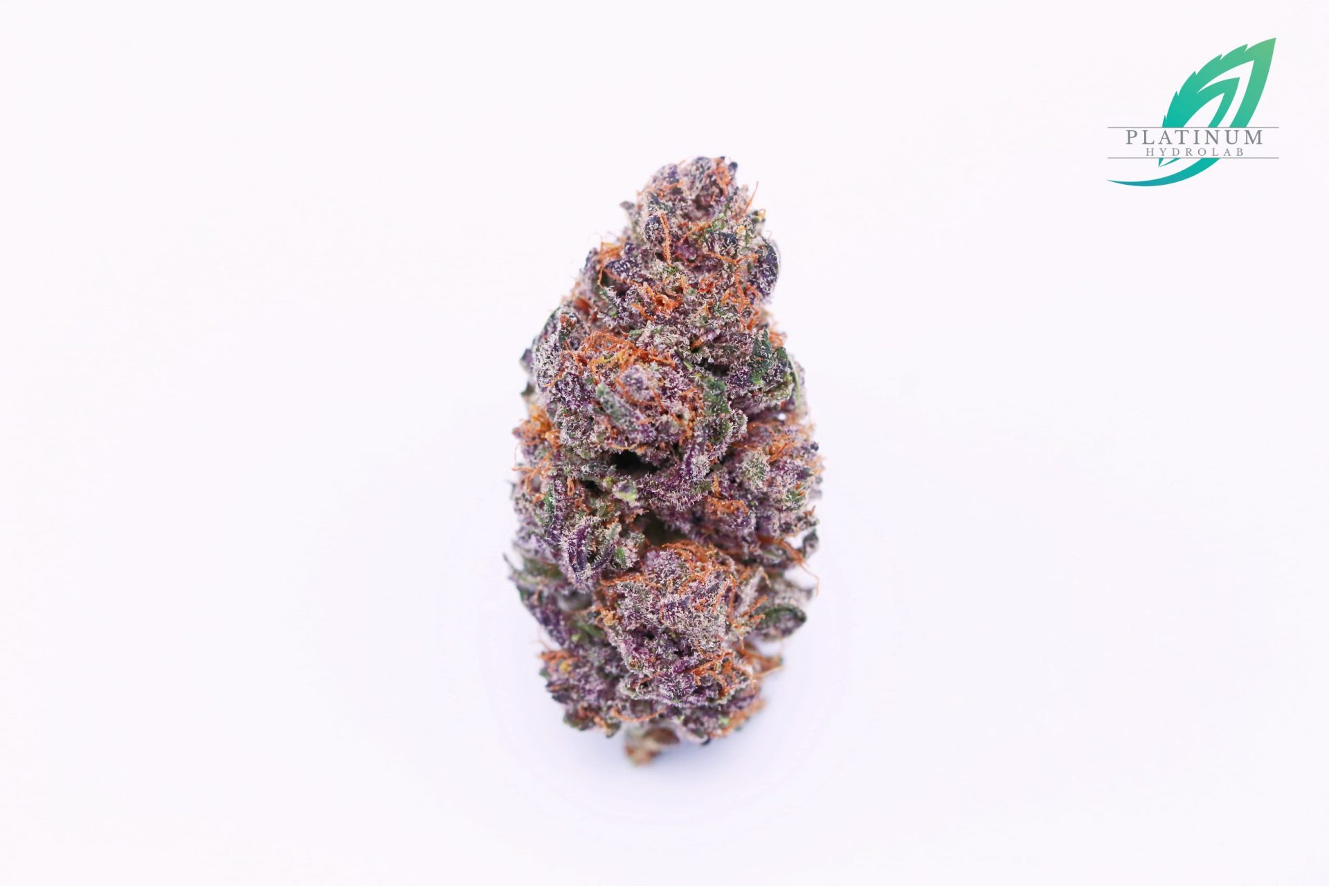 Mountain Blackberry Kush - Image 2