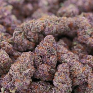 Mountain Blackberry Kush