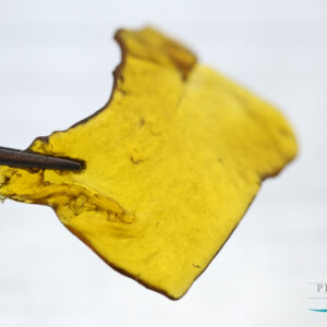 Platinum Hydrolab Shatter